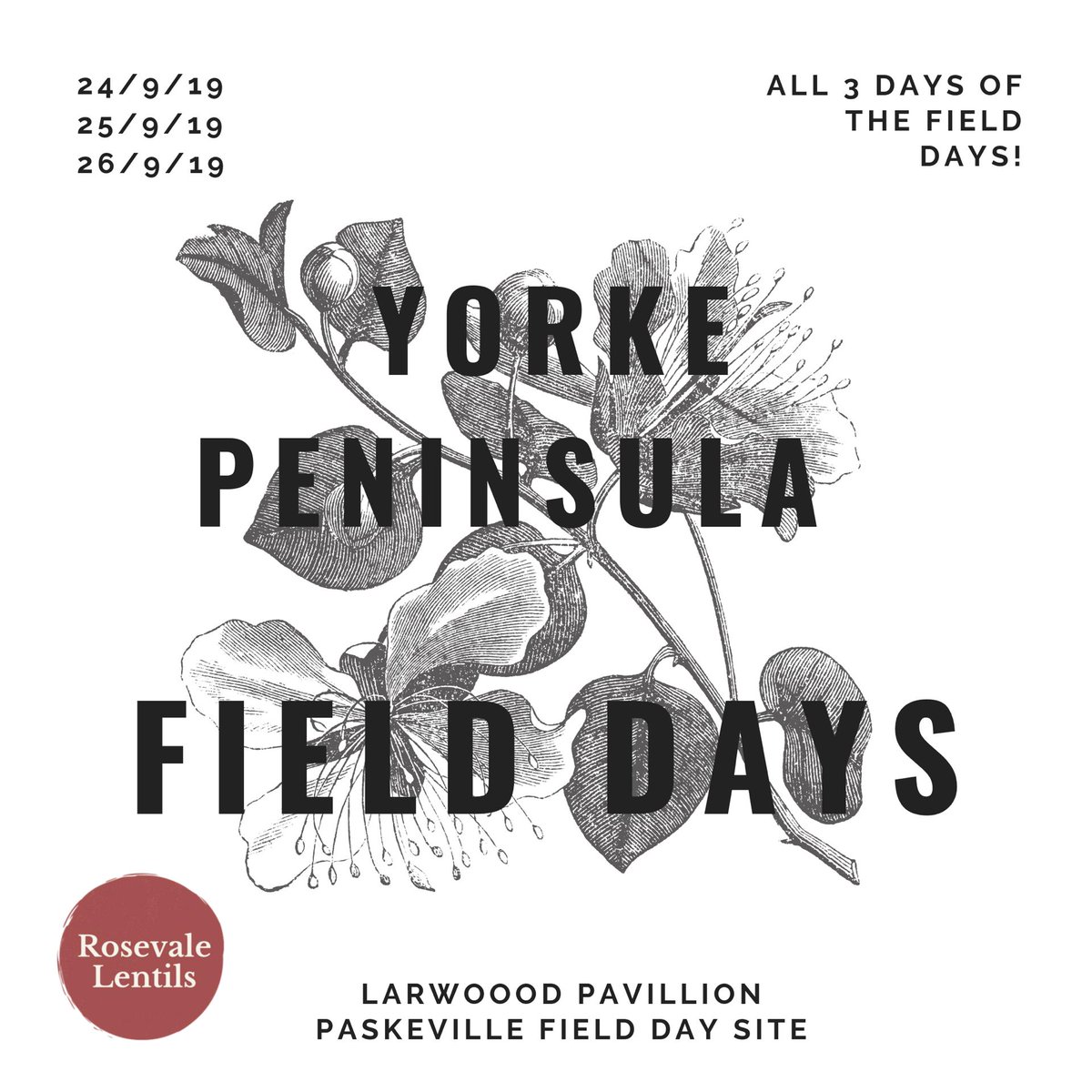 Rosevale Lentils tweet media