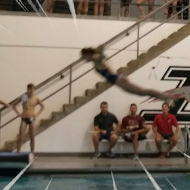 diveinwithdave's tweet photo. Part 2 🤣🤣🤣 @straightuprader #hounds #🐾 https://t.co/0mjBAMSxK2 https://t.co/PCIbT0fvPp