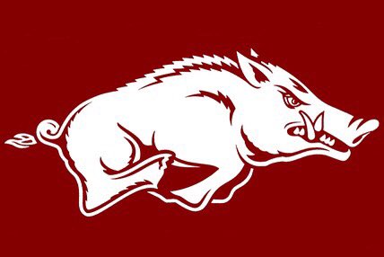 diggs_kendall's tweet photo. I’d like to thank everyone who has made this possible. Very excited to announce that I’ve committed to the University of Arkansas! #WPS🐗⚾️ https://t.co/YRwNdwc7cD