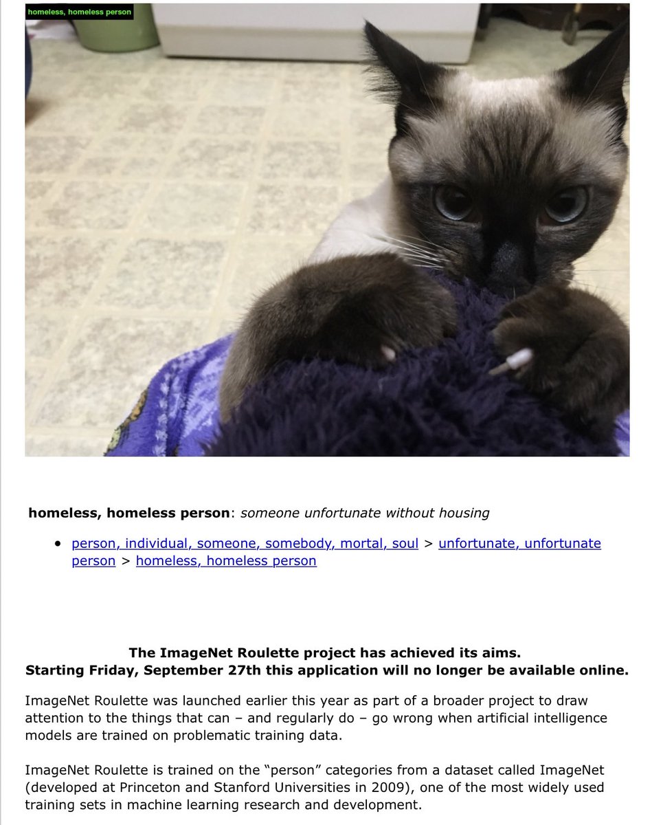 SiameseAddy's tweet image. Hmm 🤔 #imagenetroulette