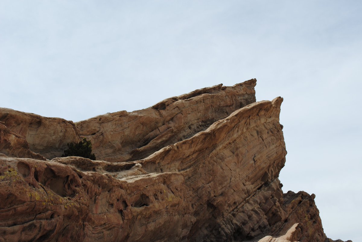 TAFT HS Science tweet media