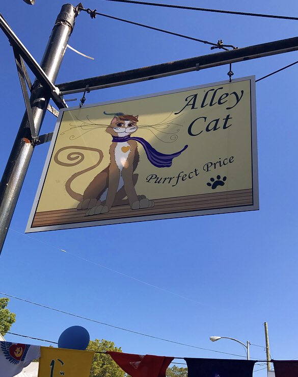 Meet Connie Saffan, the owner of Alley Cat on Center Street! Connie has a beautiful collection of clothes, jewelry, books, art, flags, decor, &amp; more for purrfect prices! Be sure to come prowl around and support local businesses! 🐱 #geneseony #SmallBusinessSunday