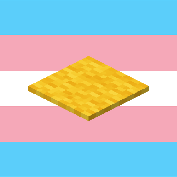 the minecraft yellow carpet is trans
