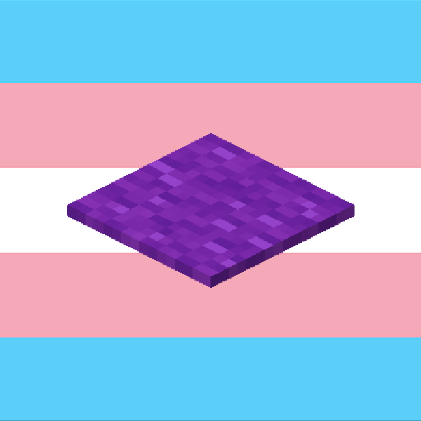 the minecraft purple carpet is trans