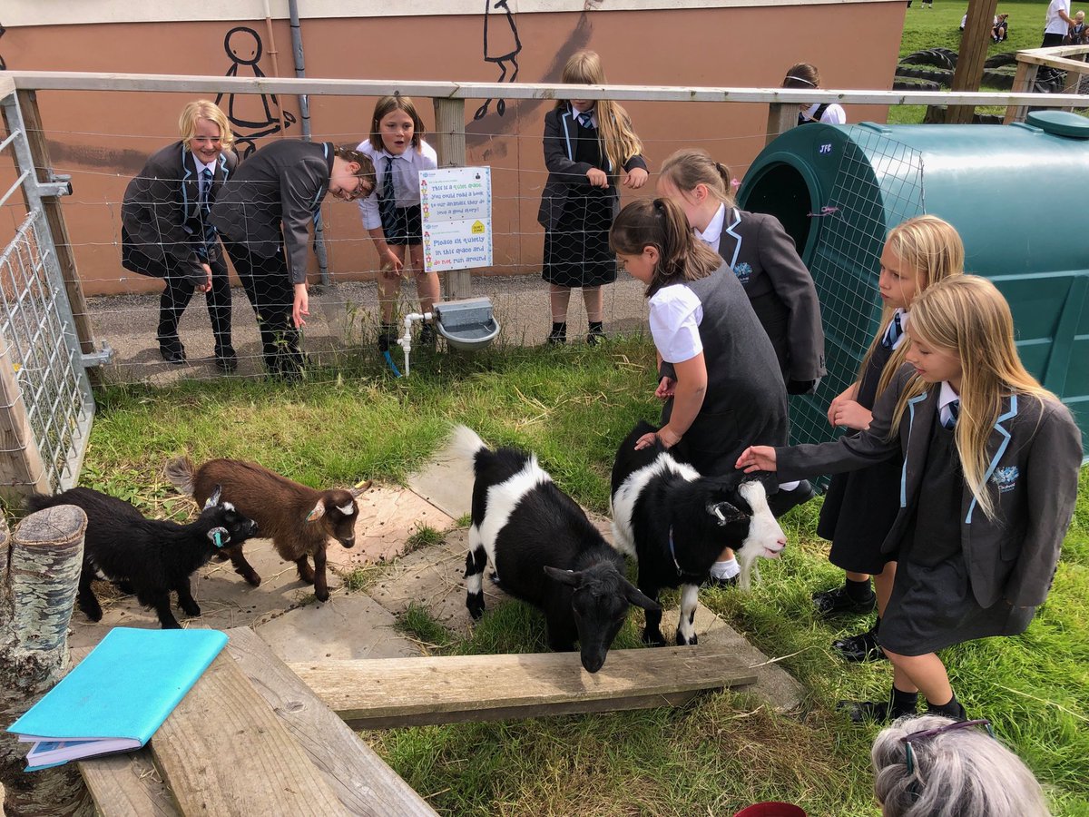 gulvalschool's tweet photo. We encourage and expect all our children to volunteer in school. So much going on we literally can’t do everything without them rolling their sleeves up and getting stuck in! That and we build #selfesteem #senseofidentity and #resilience through #responsibility #TeamGulval https://t.co/HYhZjtgSJJ