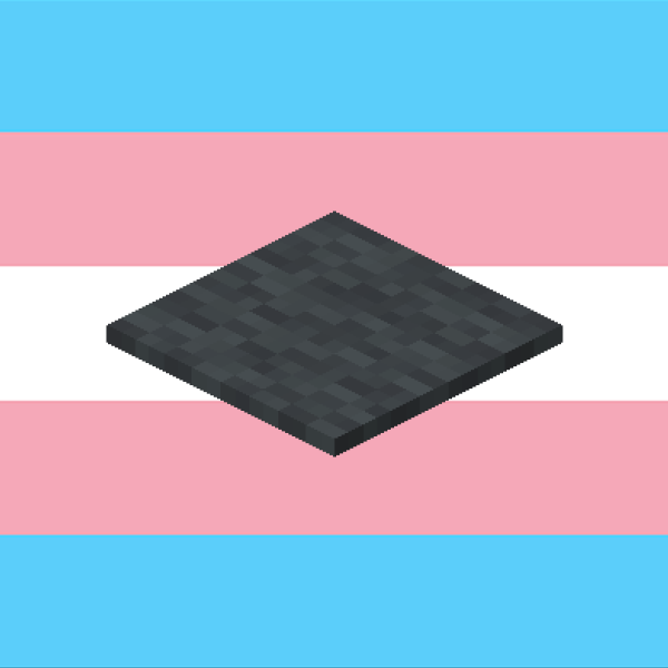 the minecraft gray carpet is trans