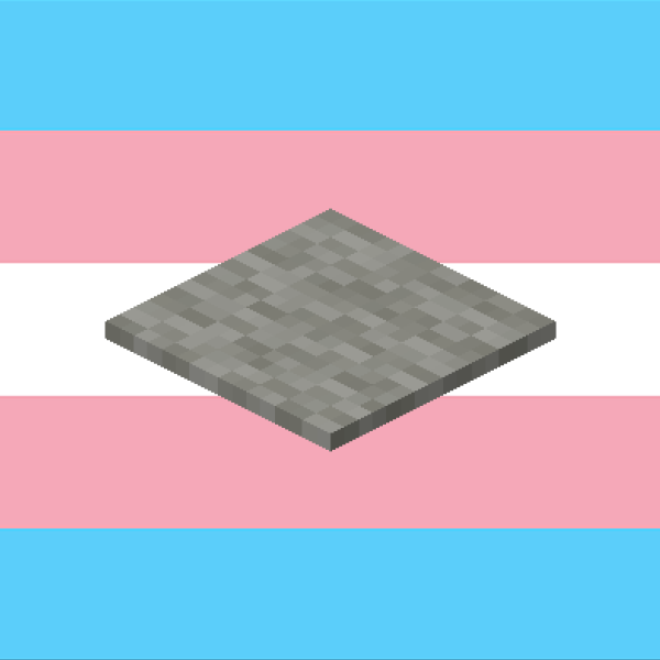 the minecraft light gray carpet is trans