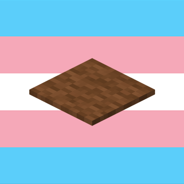 the minecraft brown carpet is trans
