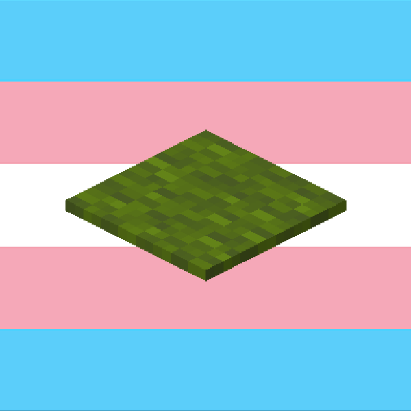 the minecraft green carpet is trans