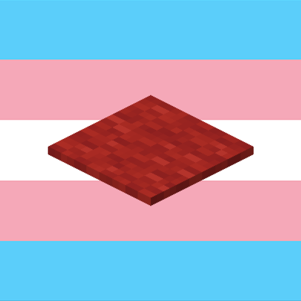the minecraft red carpet is trans