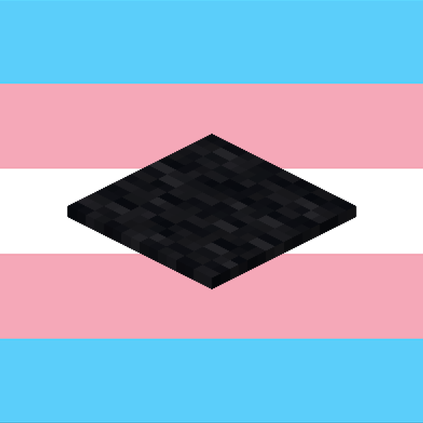 the minecraft black carpet is trans