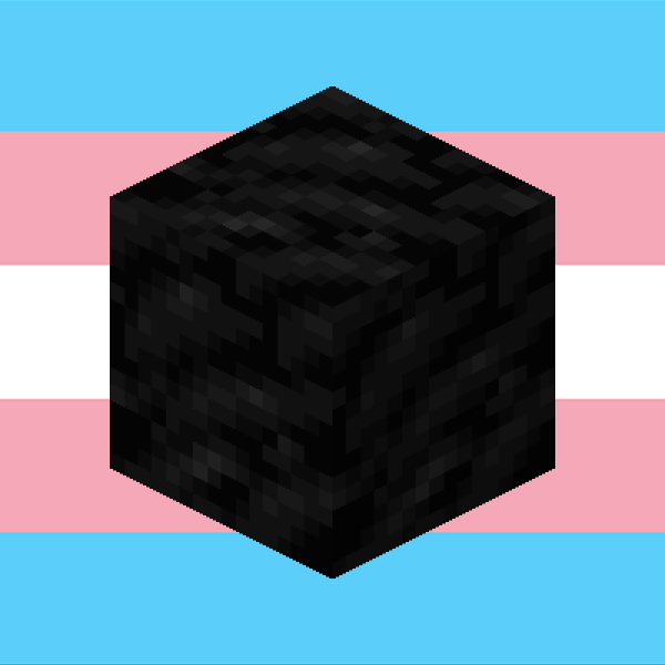 the minecraft coal block is trans