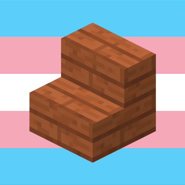 the minecraft acacia stairs block is trans