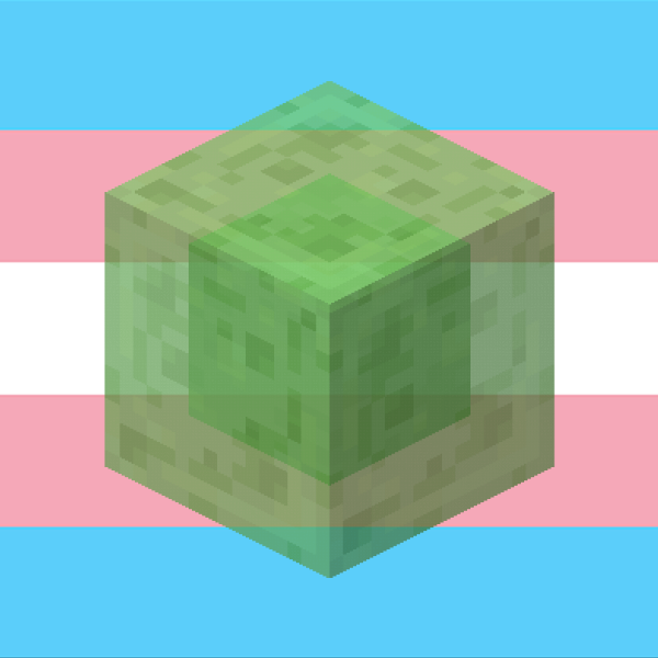 Every Minecraft Block Is Trans The Minecraft Slime Block Is Trans Every Minecraft Block Is Trans The Minecraft Slime Block Is Trans