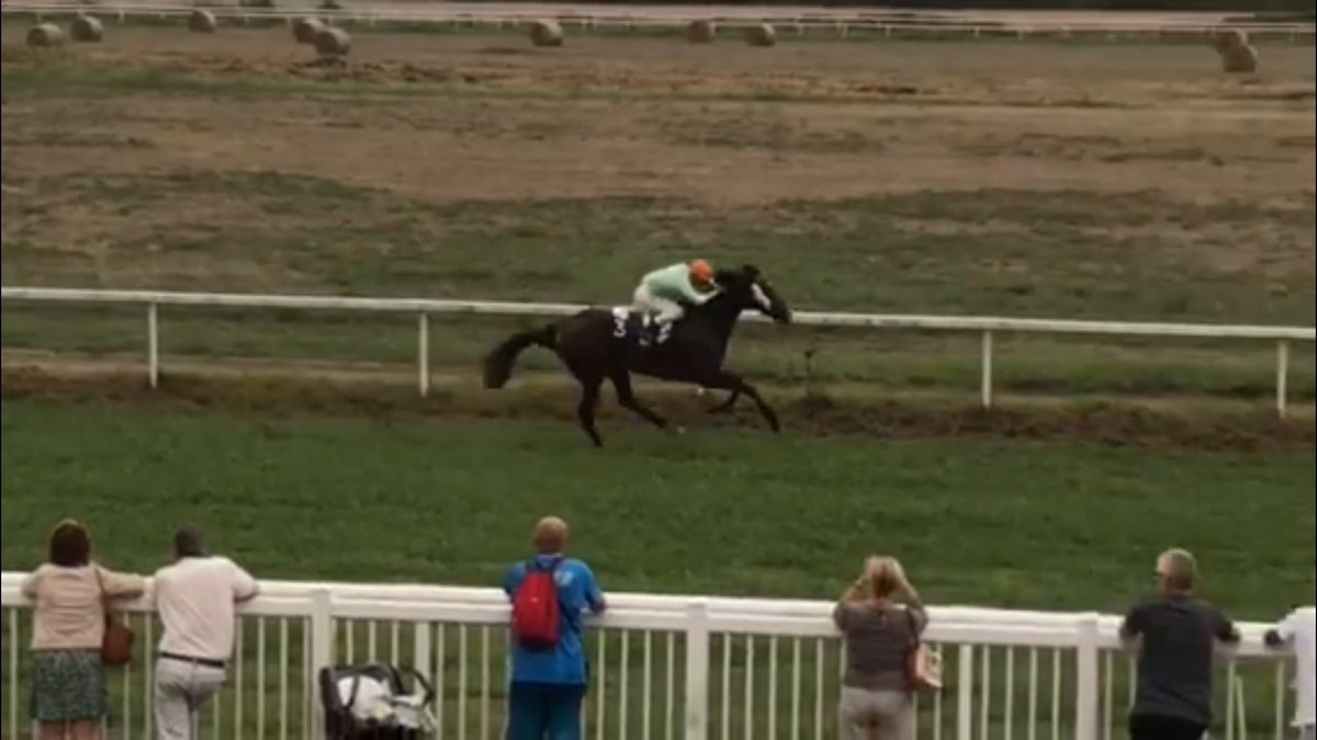 MickaelleMichel's tweet photo. First test in Corsica succeeds!💪👊
🥇🥈🥈
Great experience ✨
🥇Well Fleeced 🐴🏇🏼
A. Gabryszewski 🎩
Thanks all the teams 🥰
Stefana 👧🏻
@LeoniCath  @netkeiba @equidia @naitwou @Jour_de_Galop @Paris_Turf @SkyRacingAU @HKJC_Racing #JRA https://t.co/EG1fBe8293