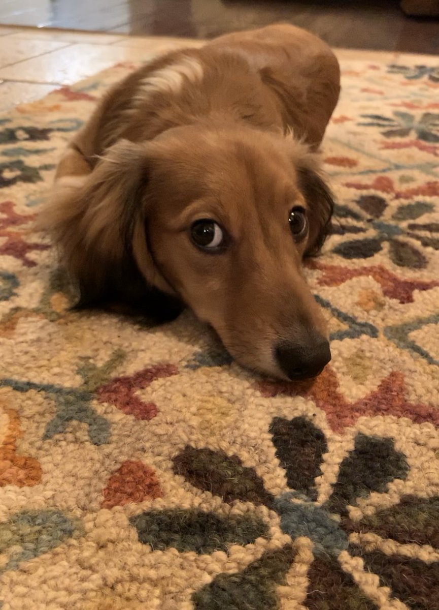 If you don’t already, please follow my daddy. <a href="/michaelschweitz/">Michael Ⓜ️</a>