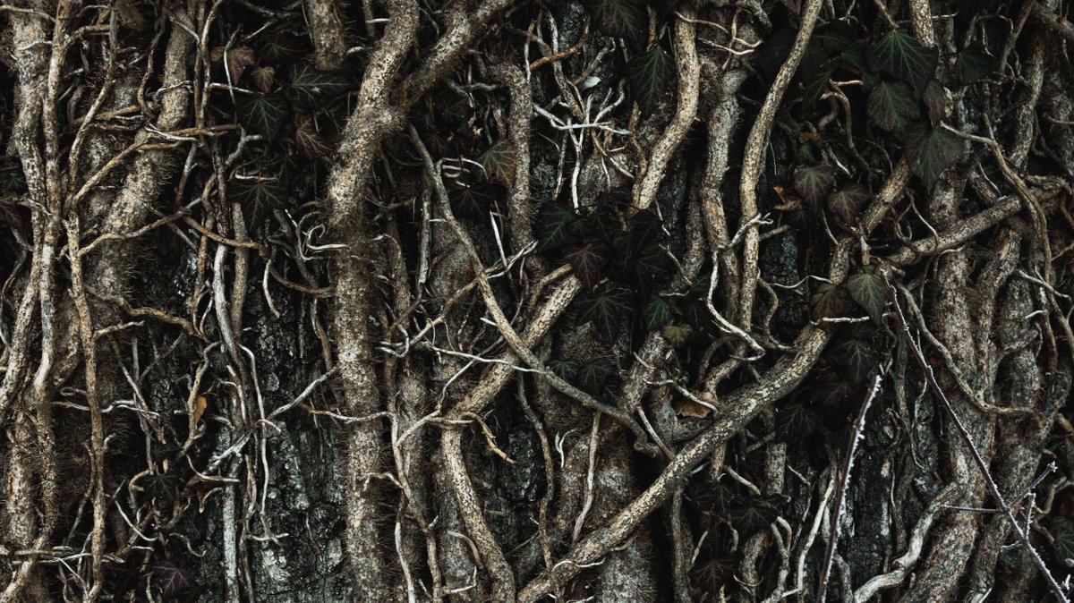 biblesociety's tweet photo. 'One we have accepted Christ Jesus as Lord, we have a lifetime of putting down roots and shoring up foundations ahead of us.'
Read full reflection 👇 
https://t.co/KyxXj3s7i0
---
#DailyReflections #MemorisingScripture #BibleReading #Inspiration https://t.co/KZA99pmdmj