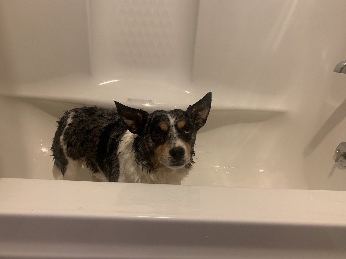 Someone hates bath time