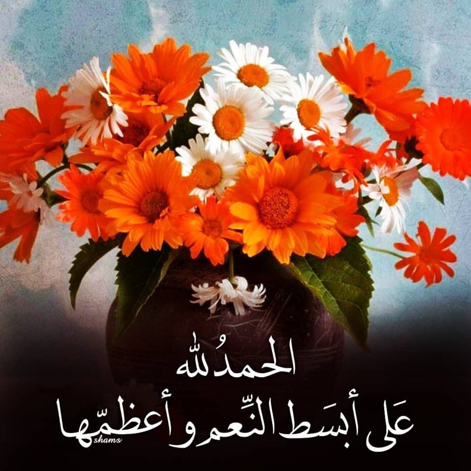 عسى الله أن يحدث لك اليوم فرحة تملأ قلبك بالسعادة والبهجة ، فرحة لم تكن بالحسبان وتردد بعدها الشكر وتقول....💫
.... هذا من فضل ربي.... 💕
#الله_غايتي_ورسول_الله_قدوتي 
#حفيدات_الفاروق 
#ومضة_حرف 
#دخون_الدعوة 
#الاستغفار_في_السحر
#غيوم_صامته
#رحاب_الدعوه