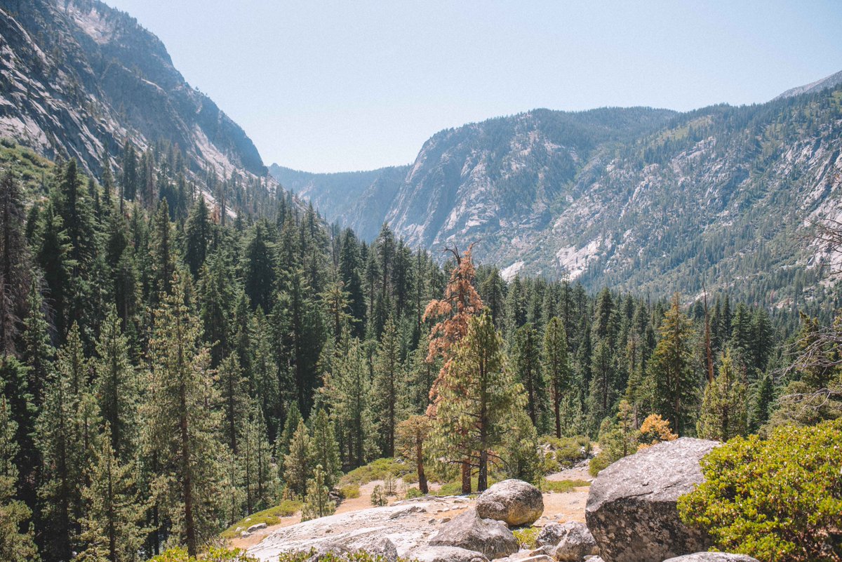 mattdsampson's tweet photo. "The most extravagantly beautiful of all the alpine gardens I ever beheld" John Muir on Paradise Valley / Day 1 on #raelakesloop. #kingscanyonnationalpark https://t.co/zDn4PIb0WL