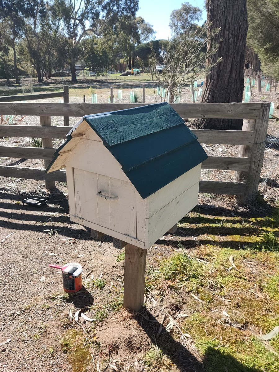 jpatpls's tweet image. Thought the letterbox was looking a little tired @Richmond_FC #gotiges