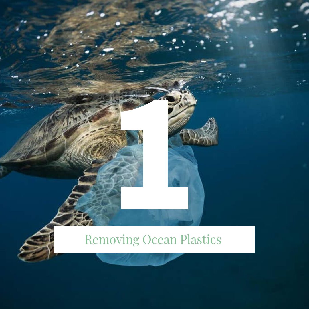 liveauroraco's tweet photo. Eliminating Ocean Plastics: 1
We’re here! Just one more day until the launch of our website!
Today we’re going to turn our attention to eliminating ocean plastics.(Continued in comments)#oceanplastic #ocean #plasticfree #plasticwaste #recycle #aurora #liveaurora #getridofplastic https://t.co/Om5645GaJw