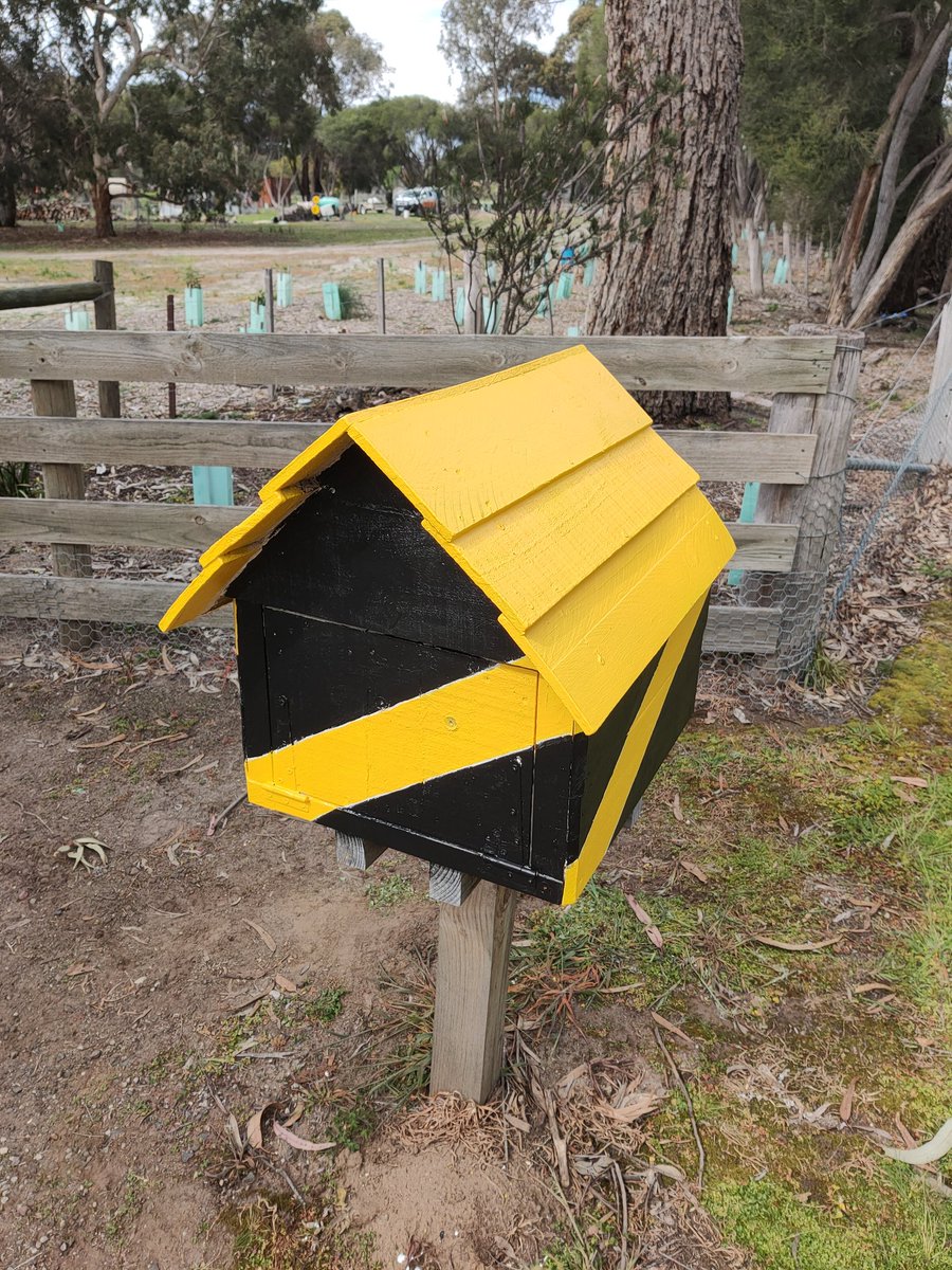 jpatpls's tweet image. Thought the letterbox was looking a little tired @Richmond_FC #gotiges