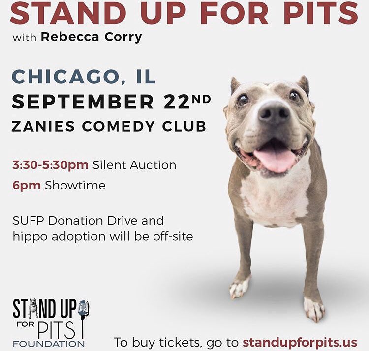 chicagoreader (@chicagoreader) on Twitter photo 