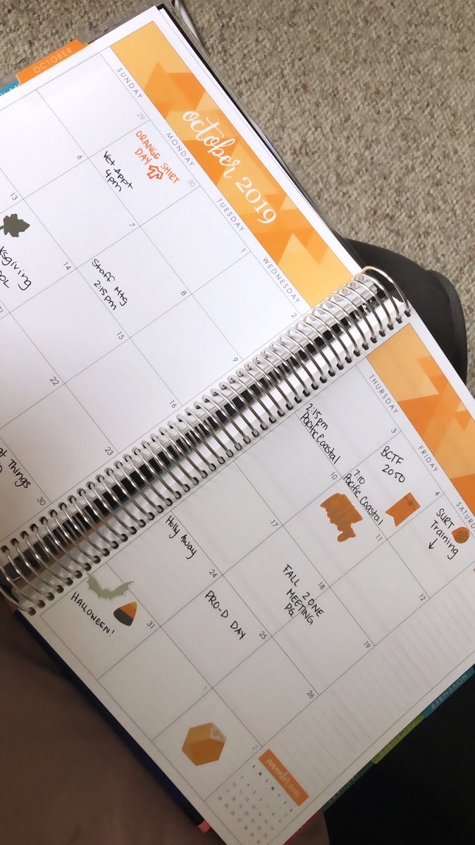 TessRileyVP's tweet photo. This @ErinCondren planner is my life 4 the year. Btwn @SD27_CC meetings, #biglakelearns meeting/events, @CaribooTeachers meetings & @bctf meetings, it’s essential for me to see it all laid out. Also love that I can sticker & colour coordinate with #fancypens #happiness #newteach https://t.co/Y3FCabIZaz