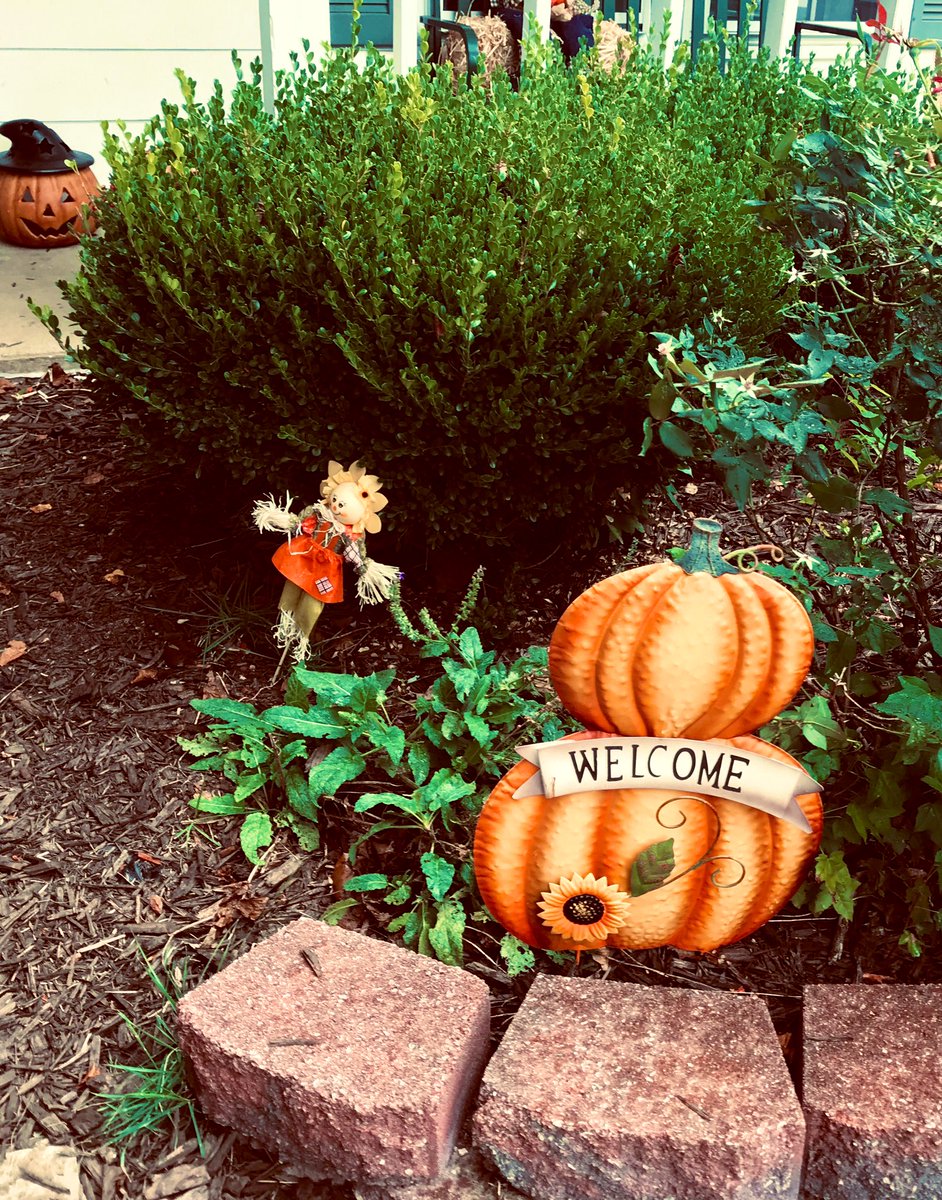 Erickascarfino3's tweet photo. BUSY DAY CHANGED THE THEME OF OUR FRONTYARD 🎃KEPT IT SOFT #Halloween 🎃WENT DOWN 2 @ThiesFarm AND GOT SOME MUMS FOR THE #halloweendecor THOUGHT I SHARE A PIECE OF OUR #life I WENT FOR A OLD SCHOOL #vibe 💯🎃 going 2 ADD SOME REAL 🎃🎃🎃🎃soon #SundayFunday #SundayMotivation 🎃 https://t.co/mvaND9CbrX