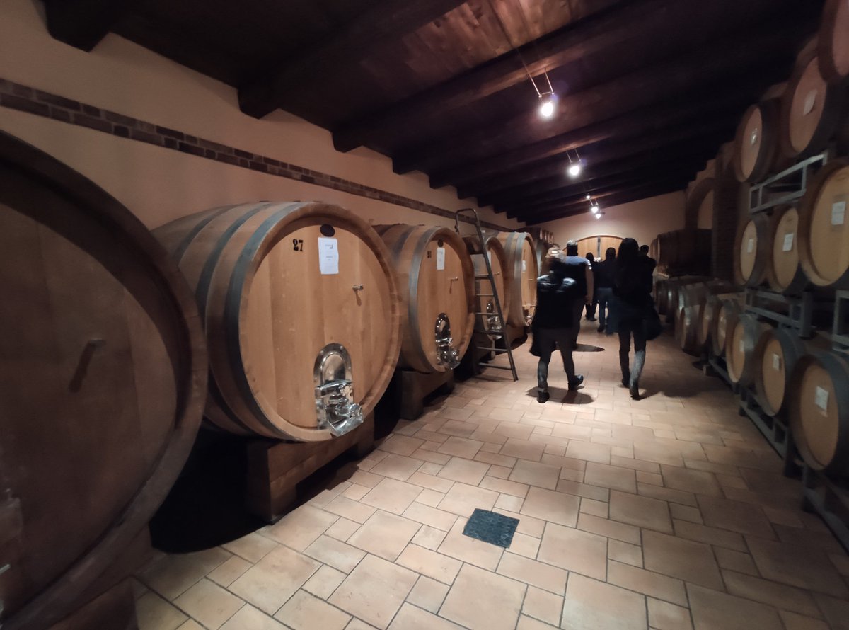 italy_fan's tweet photo. #ワイナリー訪問 #バローロワイン #イタリアワイン #ランゲ #CurtoWine #CurtoWinery #クルト #ネッビオーロ #フレイザ #ドルチェット #バルベーラ #LangheDOC #BaroloDOCG バローロ認定地区にあるクルト ワインにて https://t.co/ewhfaGpwHE