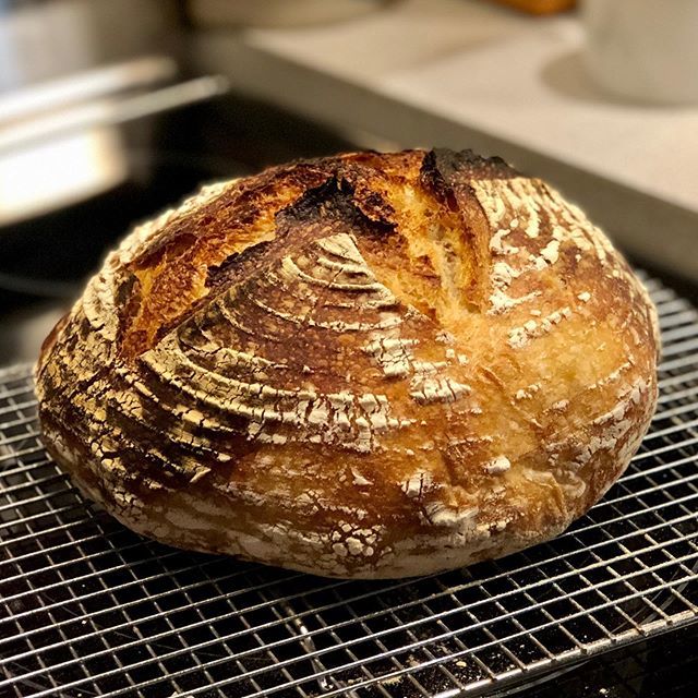 chbamey 🌱 tweet media