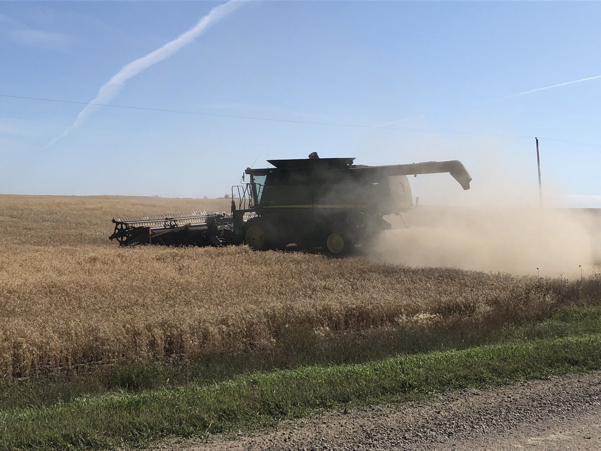 CoryDean88's tweet image. Thrashing a little Wheat today. #Breadmakers