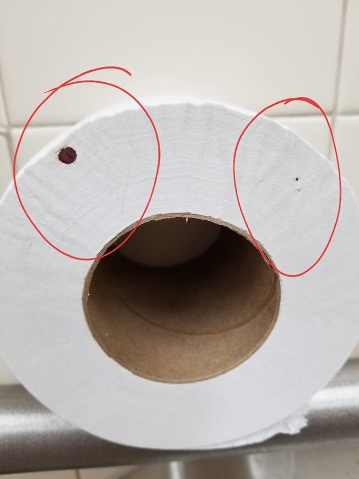 Las dos áreas marcadas con un círculo en la imagen son lugares donde un drogadicto ha metido la aguja en el papel higiénico para limpiar la sangre y poder reutilizar la aguja en el futuro.  Cuando use un baño público, SIEMPRE revise su área circundante... Ta’cabron 🙄🤬