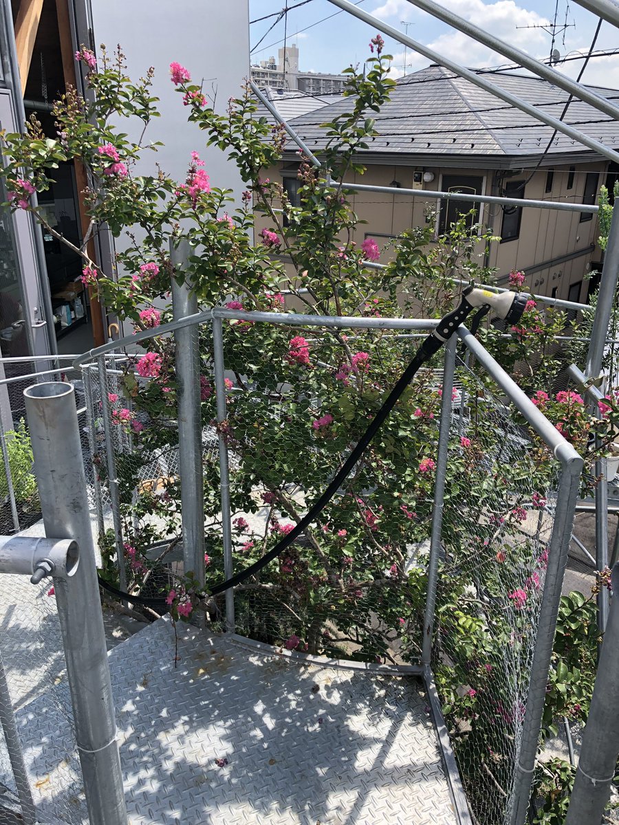 Teppei Fujiwara そういえば 夏の終わりに山田妙子 さんの住宅を家族で見せてもらう機会をいただけた 大変ナチュラルにつくられた住宅だった 山田さんの大胆さと慎重さの判断の新鮮さや 二世帯の家族像はどこか未来的だった T Co Lbm6vknpil Teppei Fujiwara そういえば 夏の終わりに山田妙子 さんの住宅を家族で見せてもらう機会をいただけた 大変ナチュラルにつくられた住宅だった 山田さんの大胆さと慎重さの判断の新鮮さや 二世帯の家族像はどこか未来的だった T Co Lbm6vknpil