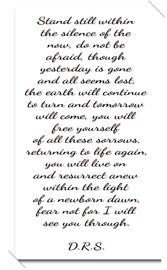 HOLLOWOODS's tweet image. 