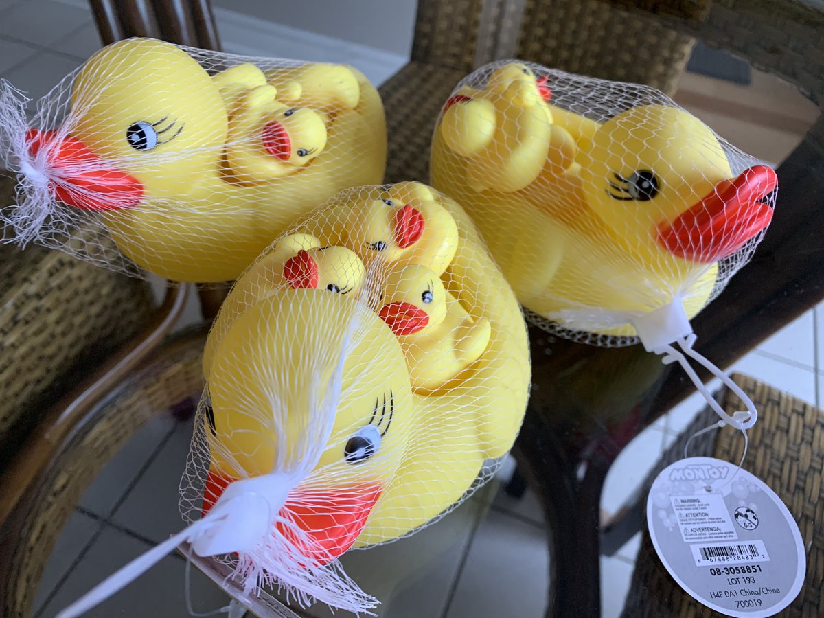 VilmaManahan's tweet photo. What do you think this ducks are for, @RidgeviewTLC? 🤔 https://t.co/kLVF3y4GAj
