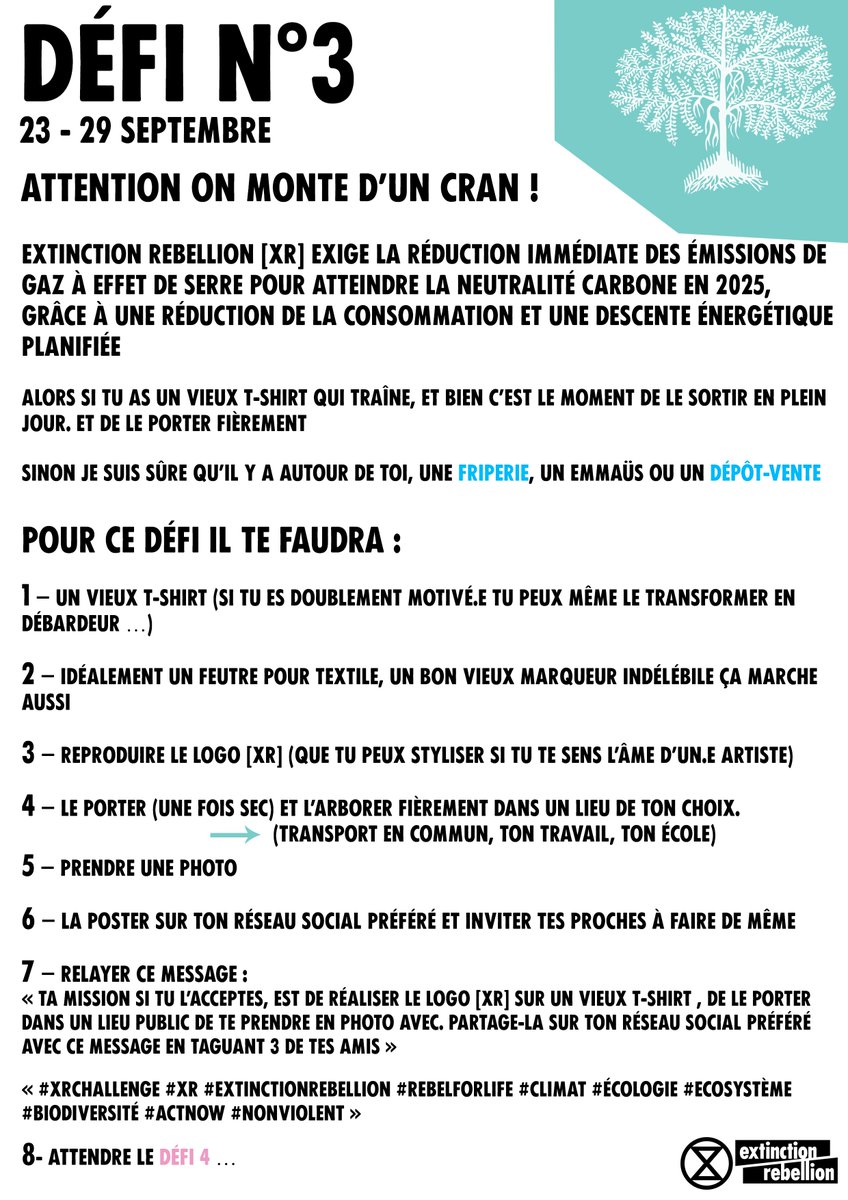 xrFrance's tweet photo. À 2 semaines de la Rébellion Internationale d'Octobre 
▶️Défi n°3 du 23 au 29 septembre pour le #XRchallenge proposé par les rebelles On monte d'un cran ! ✊
Détails en image ci dessous 
#InternationalRebellion #ExtinctionRebellion #RebelForLife https://t.co/jeiYDUrCDu