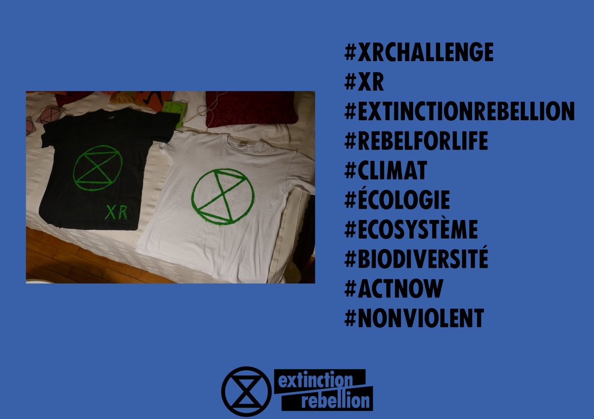 xrFrance's tweet photo. À 2 semaines de la Rébellion Internationale d'Octobre 
▶️Défi n°3 du 23 au 29 septembre pour le #XRchallenge proposé par les rebelles On monte d'un cran ! ✊
Détails en image ci dessous 
#InternationalRebellion #ExtinctionRebellion #RebelForLife https://t.co/jeiYDUrCDu