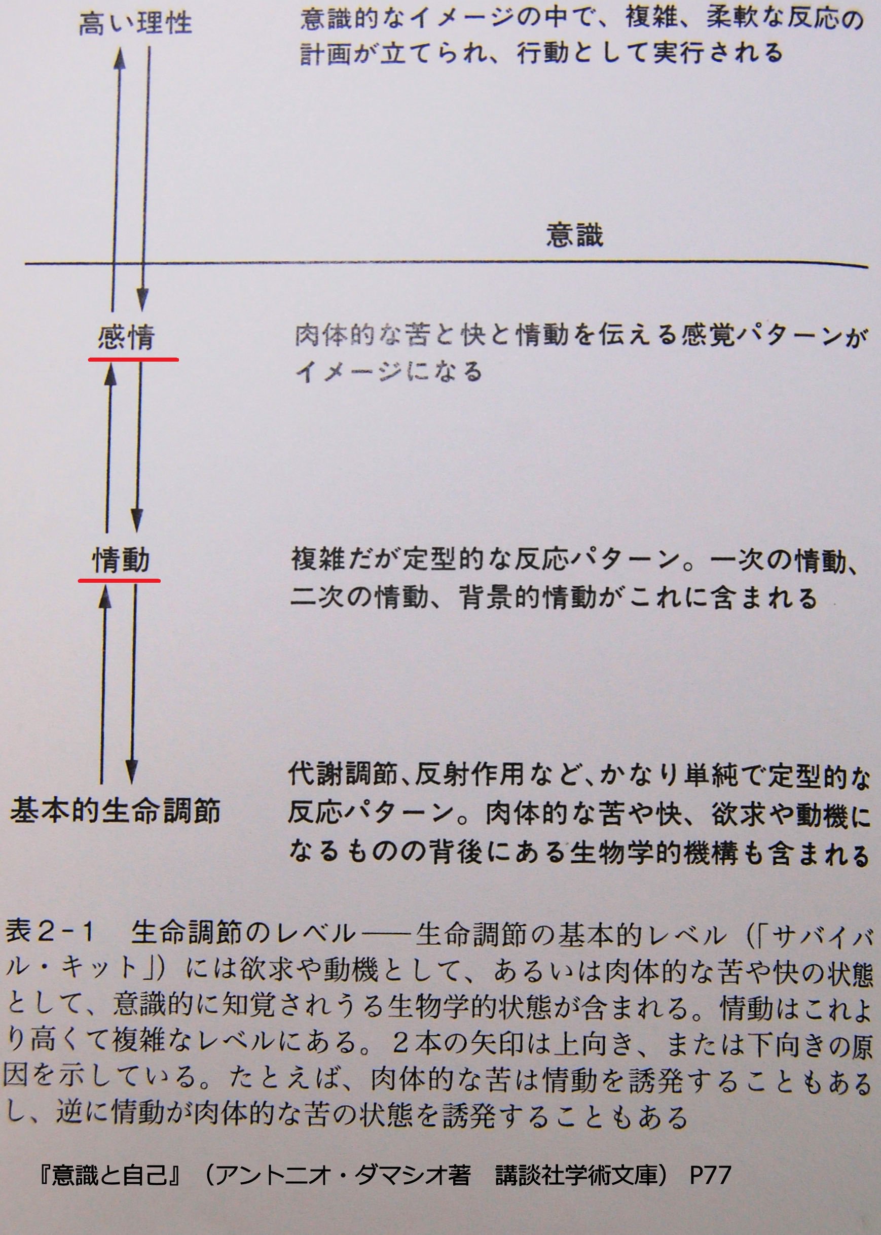 哲学書新刊情報 感情と情動 情動は外にあらわれる公な部分 感情は内にとどまる私的な部分と明確に分け 情動とその関連反応は感情に対する基盤であり 感情は心の根底を形成している心的現象とみる 感じる脳 P50 51より そして 感情 とは