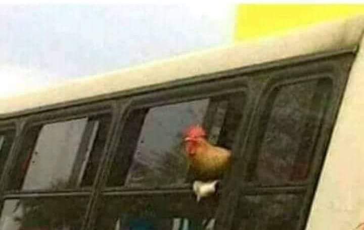 ED_ULC's tweet photo. @enriqueul Jajaja callate pollo culiao, antes dabas risa ahora dai pena https://t.co/FJgixIwcsh