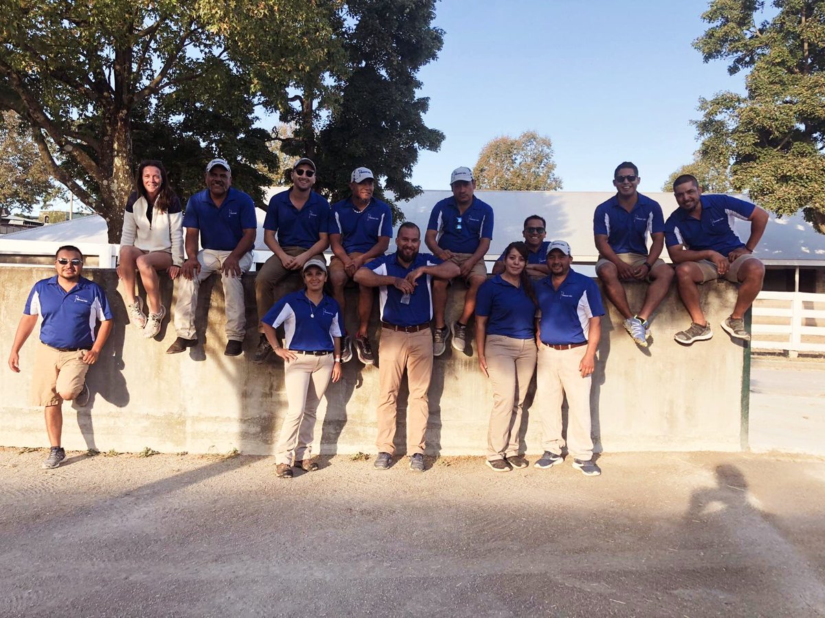 Lesley Campion tweet media