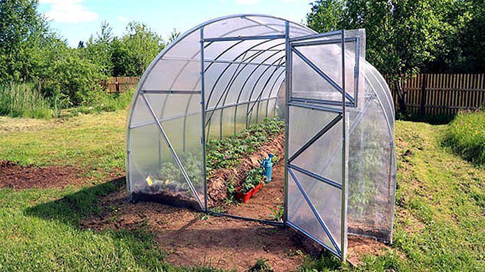 Pro Tips for Gardening in a Greenhouse dlvr.it/RDfdyQ