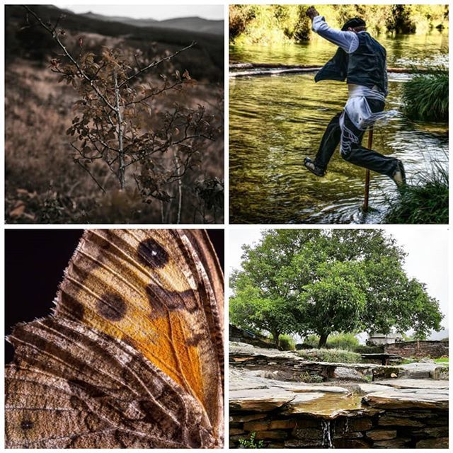 Igers GuadalajaraEsp tweet media