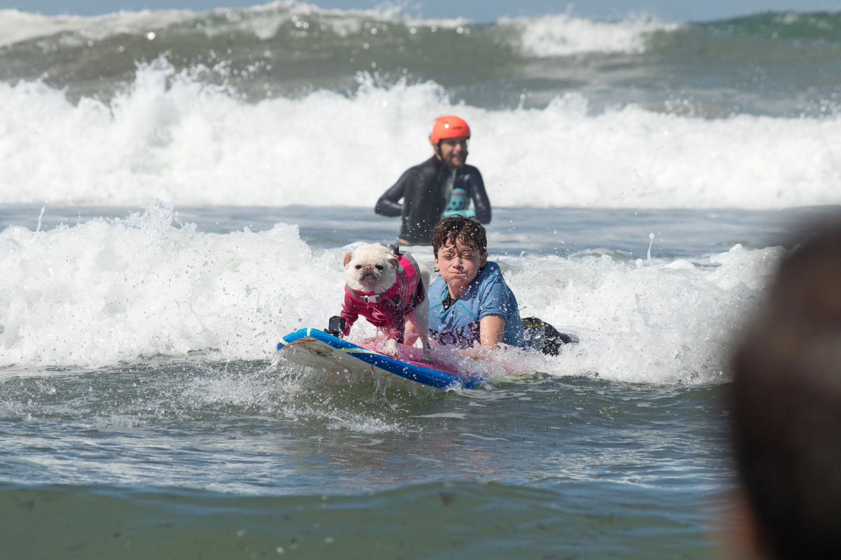 GidgetsFanPage's tweet photo. The Hooman Steers & I Am His Eyes ๐๐ฆ
@hunterpsurfer
@HWAC
@sirsaltybeard ๐ค
@sfljr.adaptivesurf
@mikebartonphotography
#adaptmovement #disabledkids #surf #pugs #teamgidget https://t.co/6d1Y58mzzi