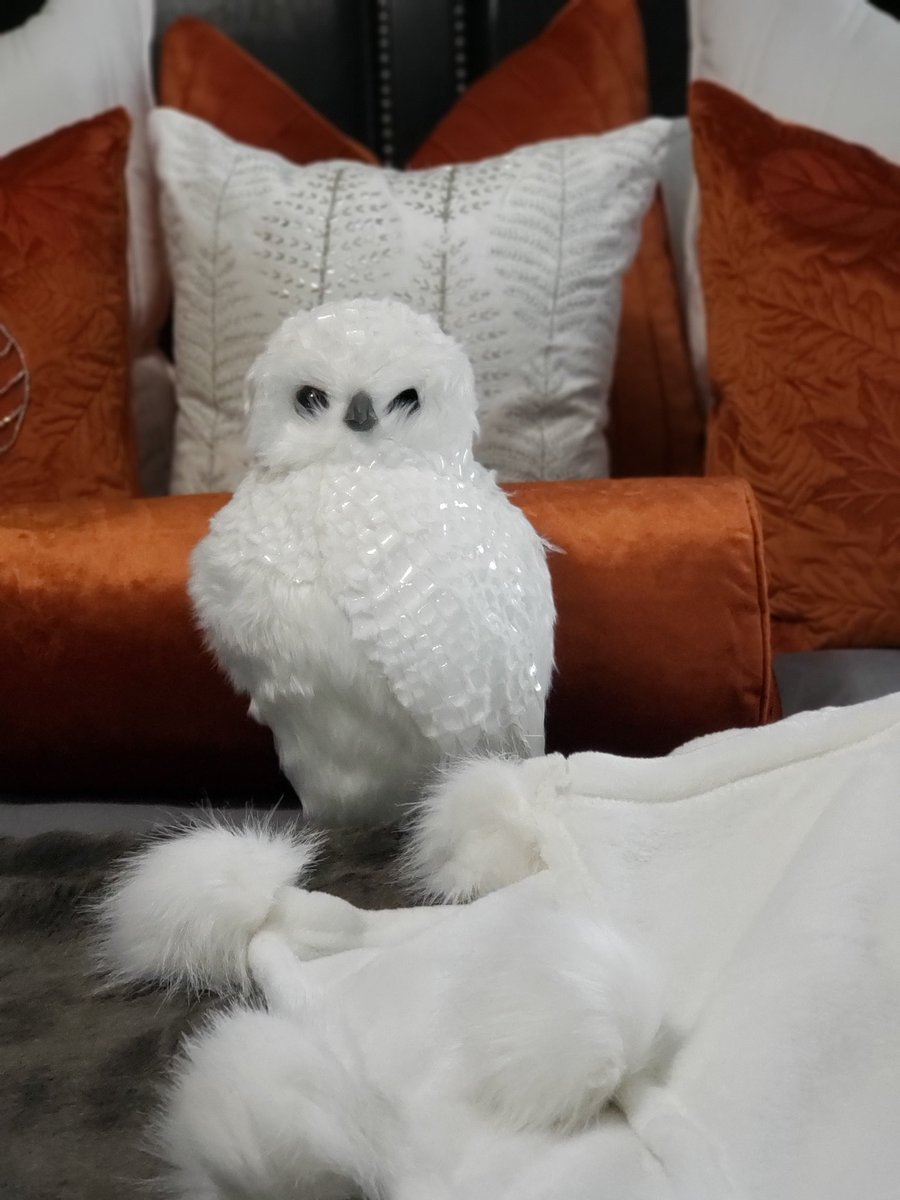 I'm loving this owl from <a href="/ZGallerie/">Z Gallerie</a> . Not sure how many hubby will feel about it being in my bed. Lol 
#glamhome #traditionalglamfall