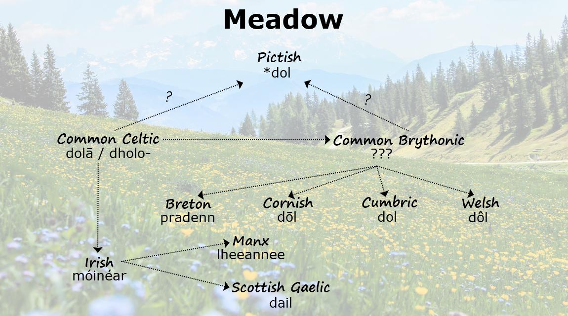 Cumbric Word of the Day is now Celtic Word of the Day! We hope that you enjoy the new page! 🙂

▪️ Eng: Meadow
---
▪️ Brythonic:❓
▪️ Celtic: dolā / dholo-
---
▪️ Cumb.: dol
▪️ Pict.: *dol
---
▪️ Bre: pradenn
▪️ Cor: dōl
▪️ Gla: dail
▪️ Gle: móinéar
▪️ Glv: lheeannee
▪️ Wel: dôl