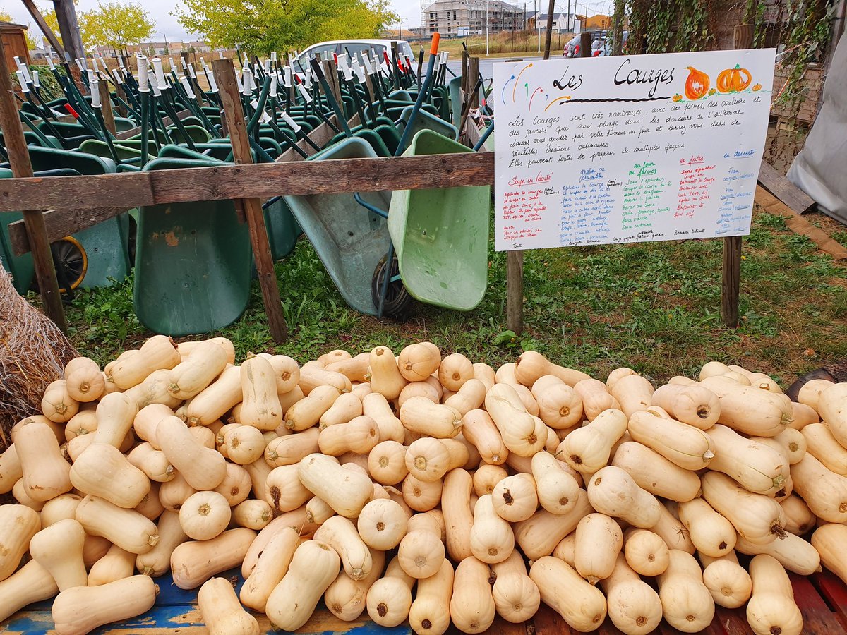 Bientôt l'arrivée des soupes, veloutés, et garniture automnal les courges, butternuts, potimarron commence à être récoltée. Restaurant Les Terrasses <a href="/AXAFrance/">AXA France</a>
