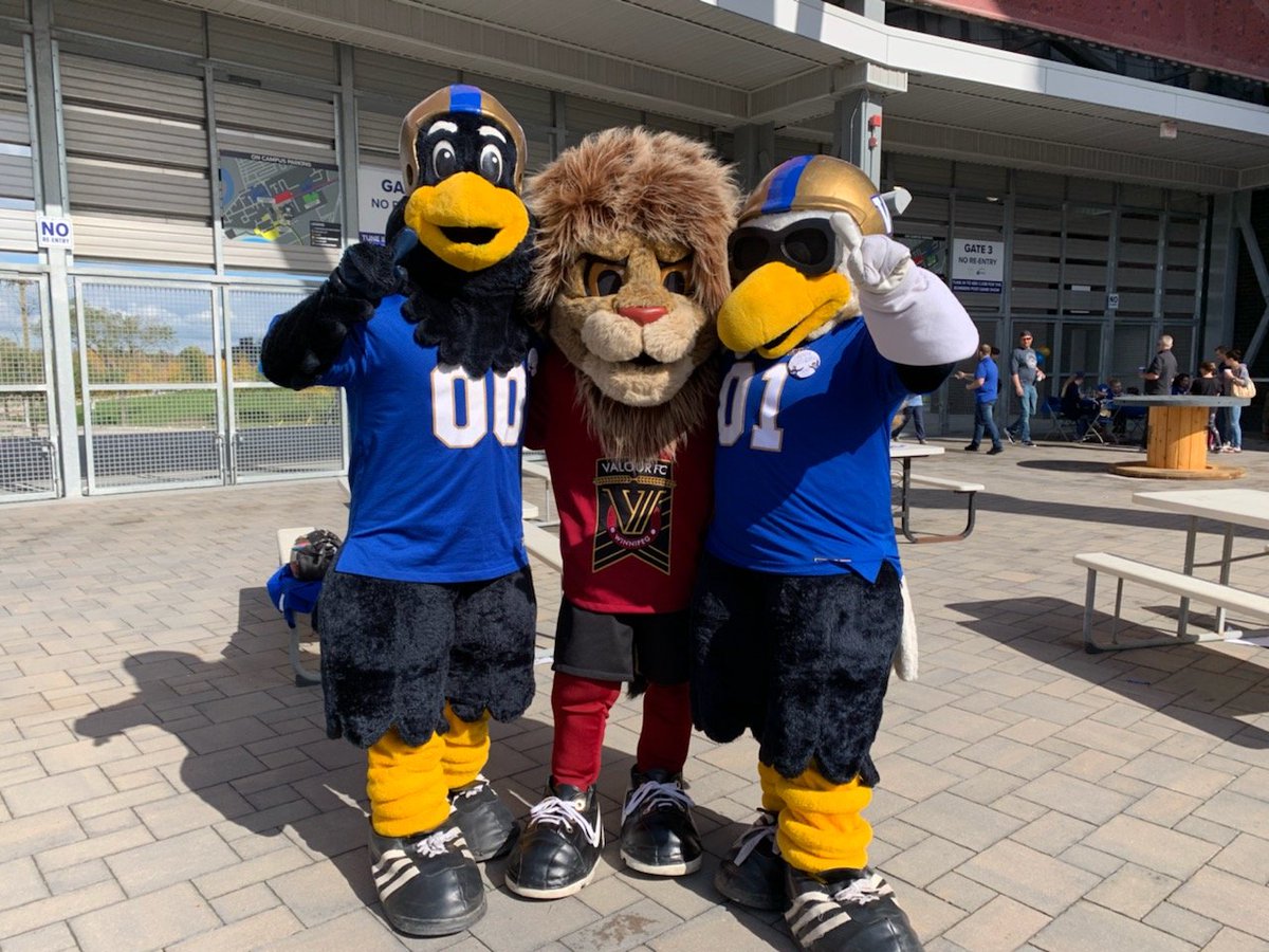 ValourFCVic's tweet photo. It was awesome seeing my buddies, Buzz and Boomer, at today's @Wpg_BlueBombers Fan Appreciation Day! 

Unfortunately, both Buzz and Boomer's lack of opposable thumbs make it impossible for them to join me on 'the Twitter.' 

#ForValour | #ForTheW https://t.co/ufInaAONXQ