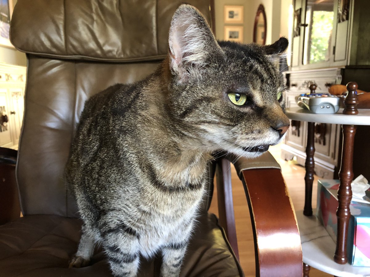 KeitherKeith's tweet photo. 🍁🍁🍁🍂🍁🍁🍁🍂🍁🍁🍁

Monday. 

The Autumnal Equinox.

The first day of Fall. 

Or, as I like to call it,

#WTFHappenedToSummer

Whatever the day means to you, 

be happy, be safe, be kind. 

#YouGotThis
#KeithDoesMonday

🍁🍁🍁🍂🍁🍁🍁🍂🍁🍁🍁 https://t.co/TYe7xRXekK